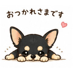 miimama_20260729111324