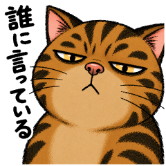 圧ねこ｜④俺様・強気編