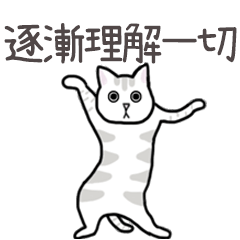 Miss A:扭扭貓之流行用語