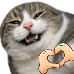 Cute Cats - Ultra