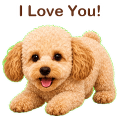 Tater Tot the Poochon