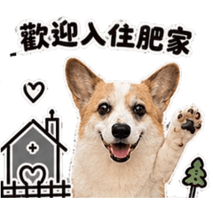 Ting_20260720110004