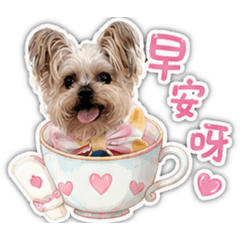 米菲 愛麗絲夢遊仙境