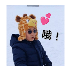 我弟的真實情緒 LIVE