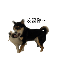 Bendu