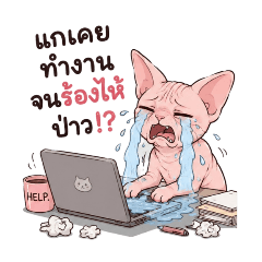 Office Sphynx: Cry First, Work Later!