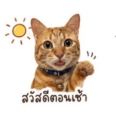 Nattha Ninklang_20260522185752