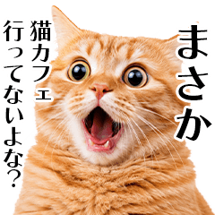 飼い猫の叫び
