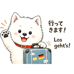 momo_20260728203033