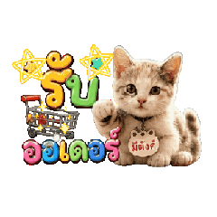 Cutie_20260729132346