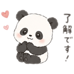 saacho_20260729145229