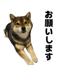 jun_20260729145141