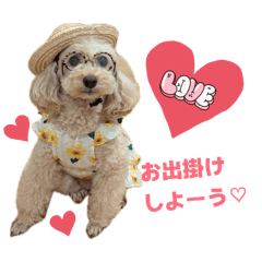hana_20260729185713