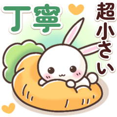 Super Tiny Happy Bunny 2