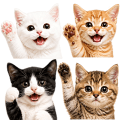 超ちいさい♡ほんわかねこ 猫 ネコ