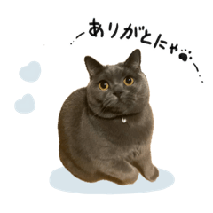 The first-ever physical stamps for cat