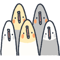 Cockatiel bird chupo