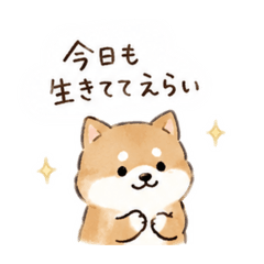 kannchan._20260730005536