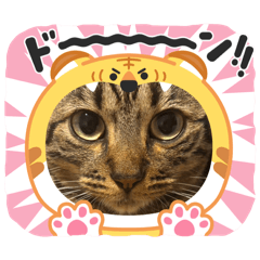 riku_20260730010909