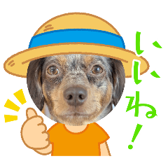 kazumi_20260729232013