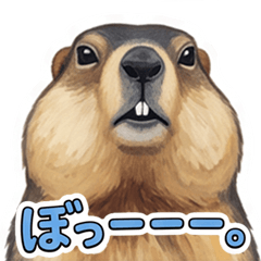 A marmot that always looks vacant.