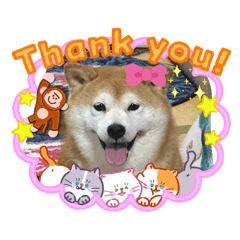 HANA_20260730013409