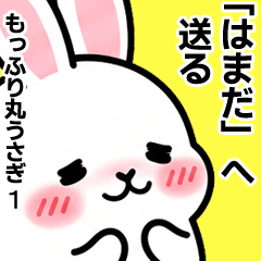 For Hamada - Moffuri maru Rabbit 1