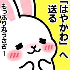 For Hayakawa - Moffuri maru Rabbit 1