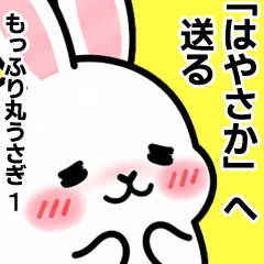 For Hayasaka - Moffuri maru Rabbit 1