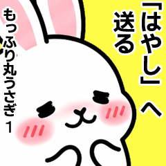 For Hayashi - Moffuri maru Rabbit 1