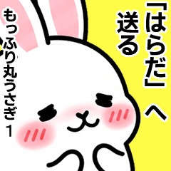 For Harada - Moffuri maru Rabbit 1