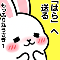 For Hara - Moffuri maru Rabbit 1