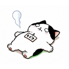 modoki_20260730012318
