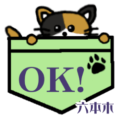 Roppongi's Pocket Cat's