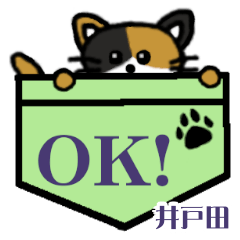 Idota's Pocket Cat's