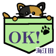 Kaieda's Pocket Cat's