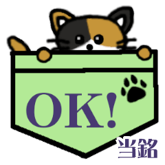 Toume's Pocket Cat's  [2]