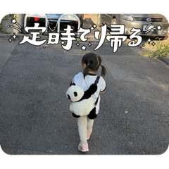Dophie_20260730061313