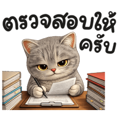 Meow takom working