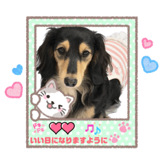 yuka_20260730122135