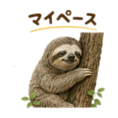 sarang069