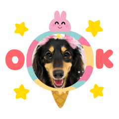 yuka_20260730134950