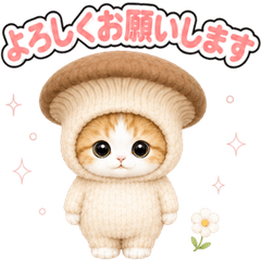 きぐるみ猫の毎日スタンプ♪きのこ