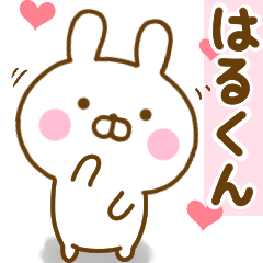 Rabbit Usahina love harukun
