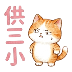 cute cats adorable3