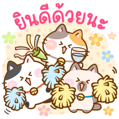 Meaw Friends Celebrations