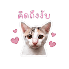 Miss U Ngub