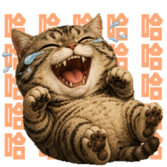 狸花貓小梨情緒表情符號