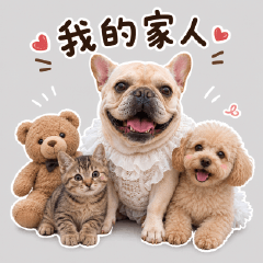 Cute Frenchie Family
