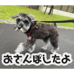haNa_20260730161430